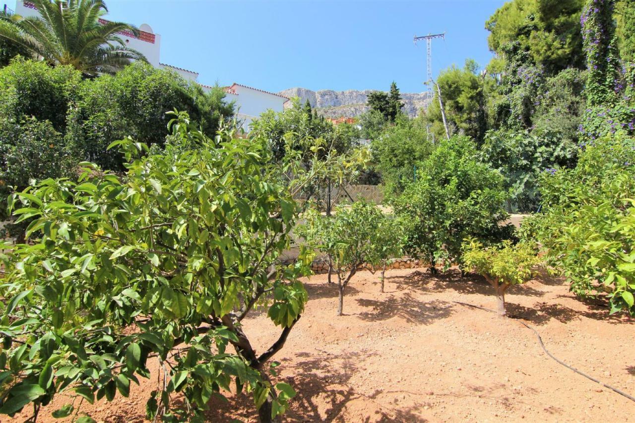 Villavenus Calp Dış mekan fotoğraf